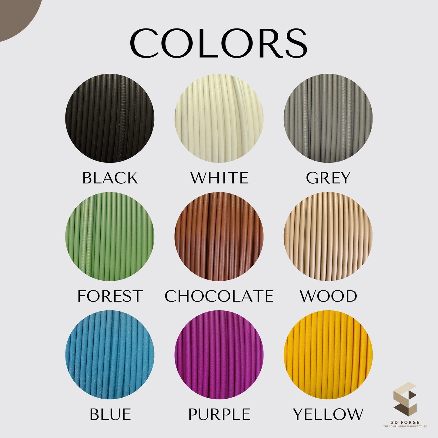 Civilization ein neues Zeitalter Inlay - inklusive Terra Incognita Erweiterung